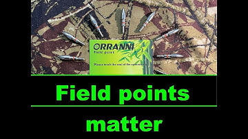 Orranni Archery field  points,  are they any good?
