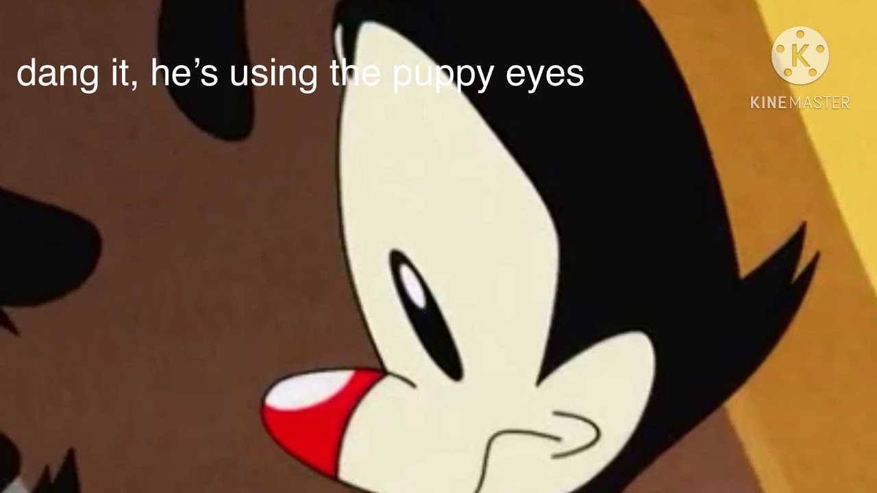 Yakko Warner being the dad sibling for just under two minutes