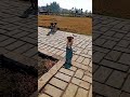 #funny #explorethebeautyofnature #comedyfilms #shortvideo #comedy #doglover #dog #comedymovies #duet