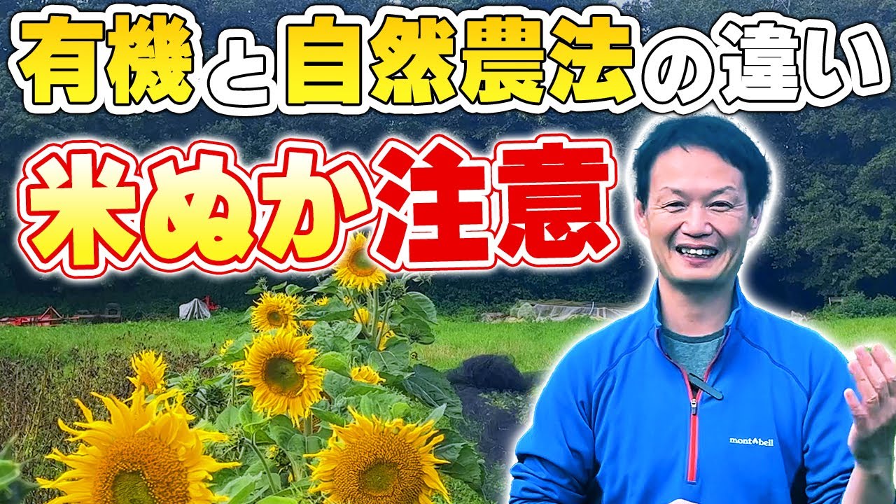 【自然栽培249】有機農法と自然農法の違いは何かな？米ぬかの使用は、注意が必要だよ。
