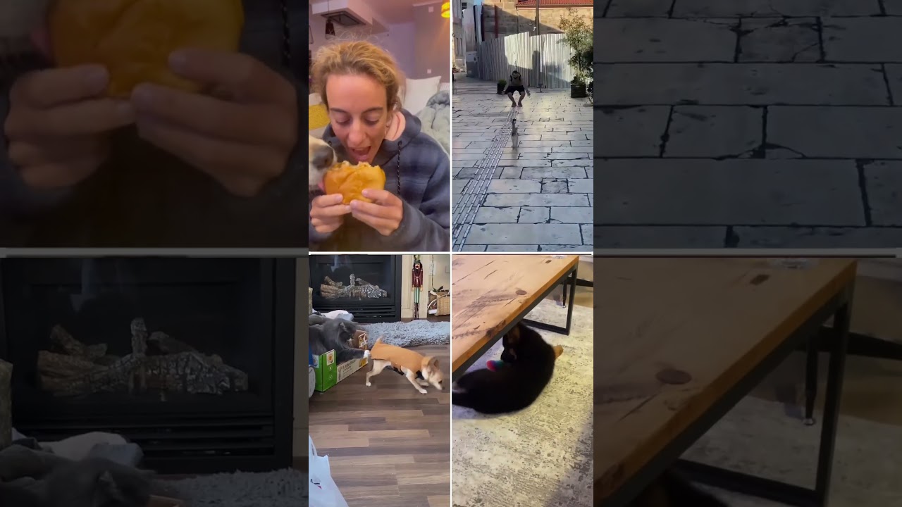 ROFL Challenge: Try Not to Laugh (Impossible Edition) 