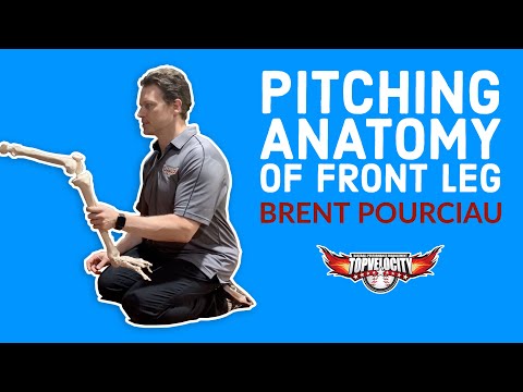 Pitching Anatomy of