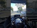 【かわいい】インコ「僕が運転してます(`・ω・´)」