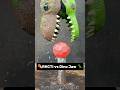 ☄️RHCTI vs Dino Jaw 🦖 #satisfying #Experiment #ASMR #Science #RHCTI
