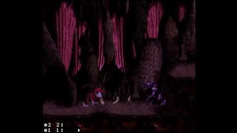 DKC- warp 1-1 to bouncy (Mrzerathemant route) input guide(?