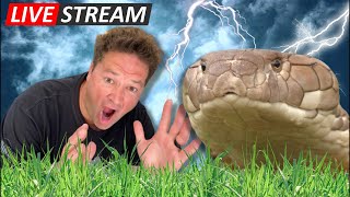 My Birthday Livestream!!!!
TO GET YOUR OWN DINGO MERCH https://bit.ly/dingosmerch
TO JOIN ME IN AFRICA on our volunteer program send an email to bookings@dingowild.com
TO SUPPORT ME FINANCIALLY donate here https://www.paypal.com/paypalme/DingoDinkelman
TO JOIN OUR PATREON and get exclusive access to all of our content and merch click here https://www.patreon.com/Dingowild My Birthday Livestream!!!!