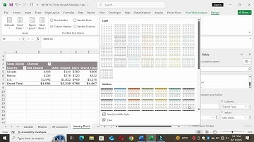Sam Capstone Project 1a Excel Modules 5-8