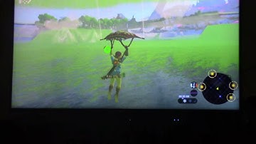 I discovered a wrong-warp in botw