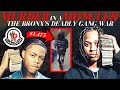 Murder in a Moncler: The Bronx&#39;s Deadly Gang War