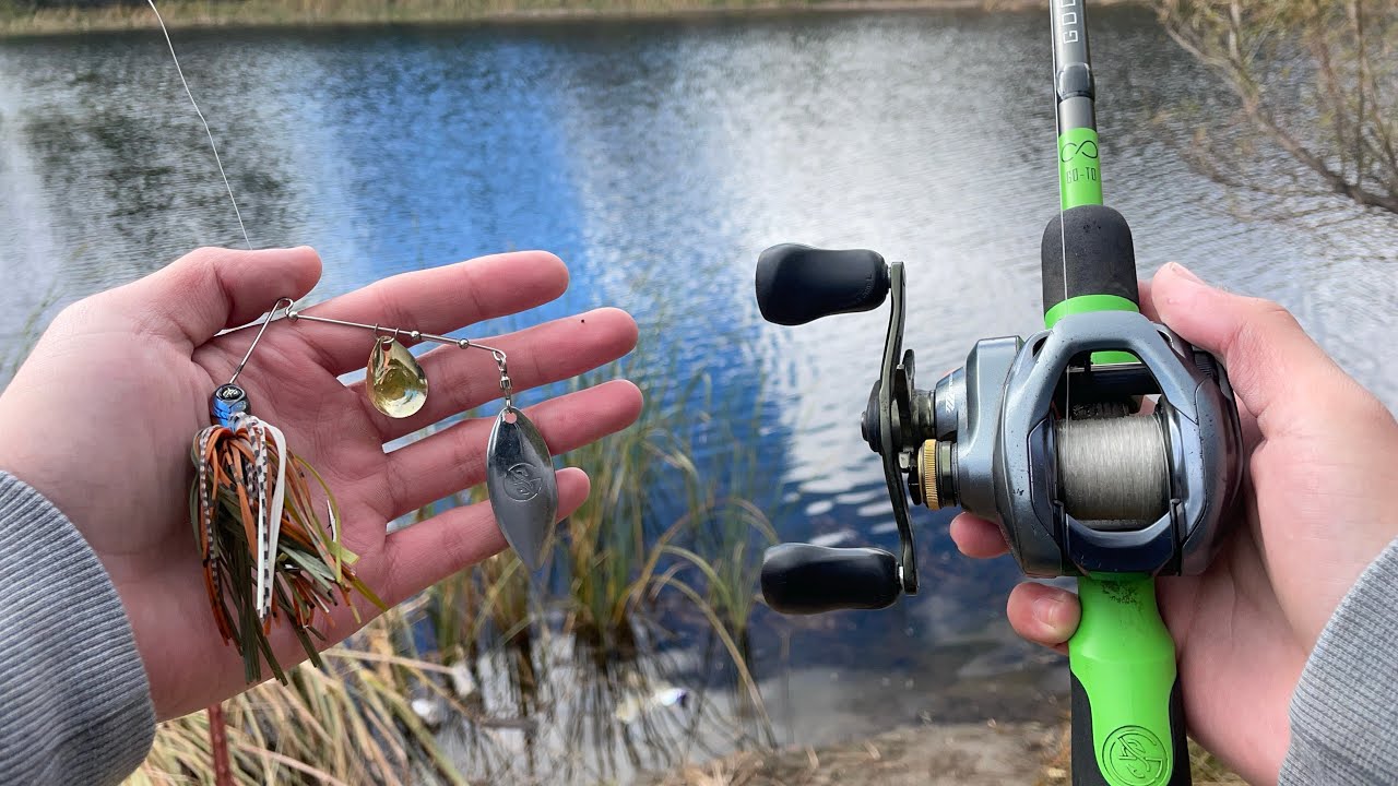 November Bass Fishing is INSANE!!