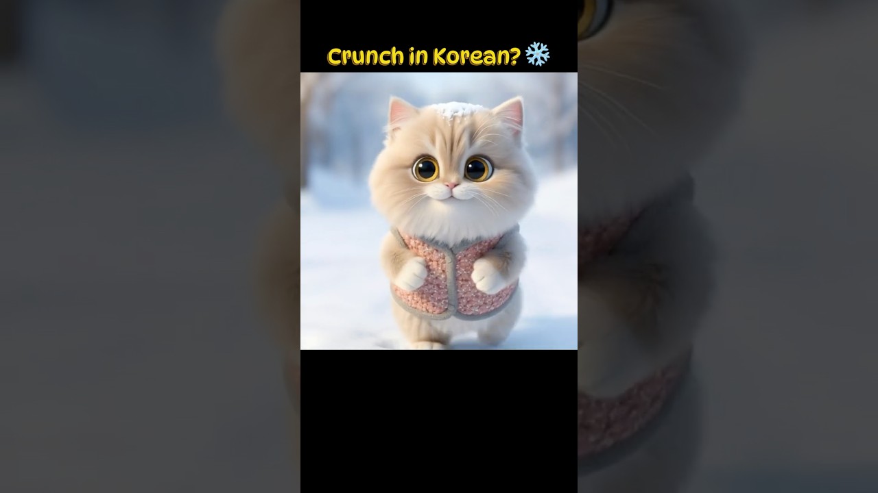 How to say "Crunch" in Korean? (Sound of Snow) ☃️