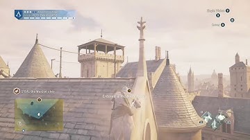 ASSASSINS CREED UNITY climbing glitch