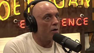 Joe Rogan and Andrew Huberman Warn AI Is Making Us Stupid