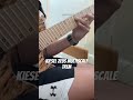Kiesel Multiscale Trem #kiesel #kieselguitars #multiscaletrem #riff