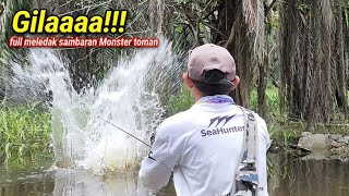 Full blown!!! The Toman here is amazing, it will give you a heart attack