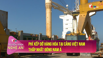 Phí xếp dỡ hàng hóa tại cảng Việt Nam thấp nhất Đông Nam Á
