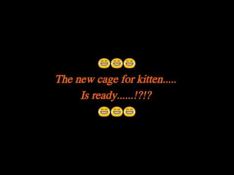 New kitten cage 😂😂😂