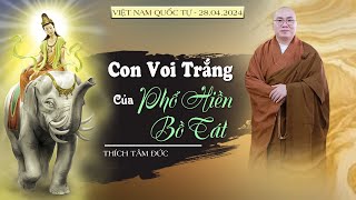 CON VOI TRẮNG CỦA PHỔ HIỀN BỒ TÁT // Việt Nam Quốc Tự | Thầy Tâm Đức thuyết giảng RẤT HAY