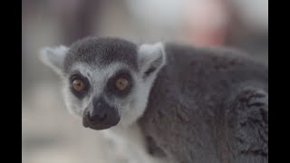 Explore all there is to see in do in Wichita on your next vacation