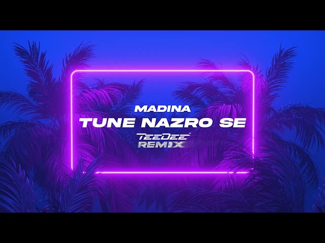 Madina - Tune Nazro Se (TeeDee Remix) class=