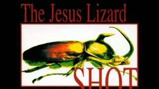 Video thumbnail of "The Jesus Lizard - Blue Shot"