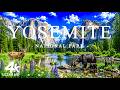 Summer in Yosemite National Park 4K – Where Nature Shows Its Most Beautiful Beauty