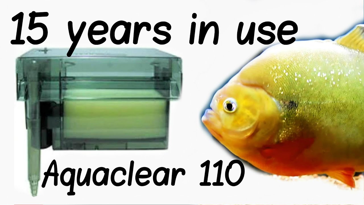 Aquaclear 110 filter in use 15 years - YouTube