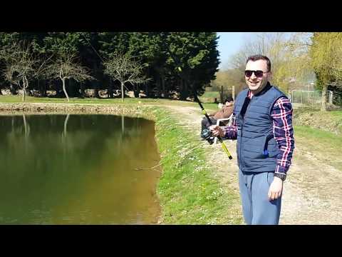 ვიდეო: როგორ თევზაობა შემოდგომაზე