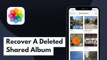 How To Recover A Deleted Shared Album (2025)