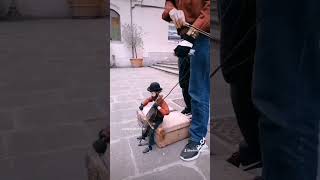 can you play a tiny cello? #busker #music #art