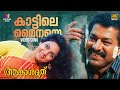 Kaattile mainaye Video Song  | 4K Remastered | Akashadoothu | Murali | Madhavi