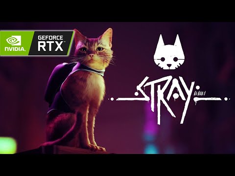 Как включить RTX в Stray