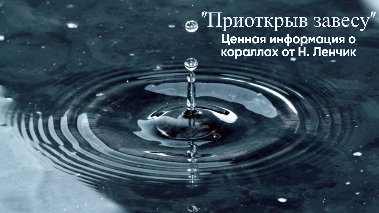 "Приоткрыв завесу". Ценная информация о кораллах от Н.В. Ленчик. Вы увидите и услышите это впервые!