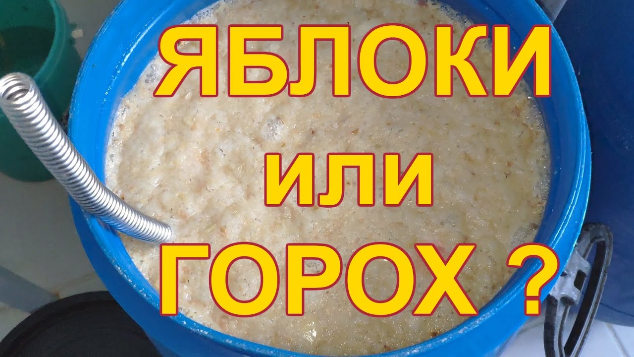 Брага на горохе