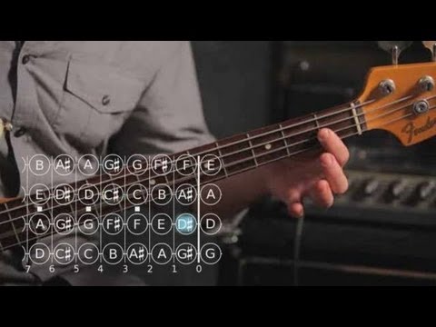 how-to-play-a-b-major-scale-|-bass-guitar