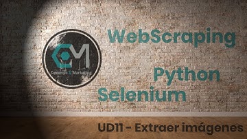 webscraping python selenium UD11 extraer imagenes
