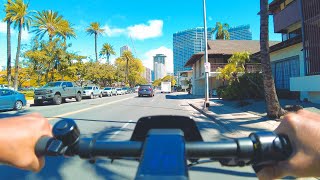 Niu KQi3 Pro 350W Electric Kick Scooter Streets of Waikiki Ride