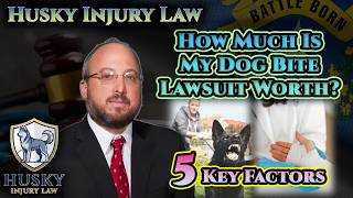 How Much Is My Dog Bite Lawsuit Worth in Nevada 5 Key Factors