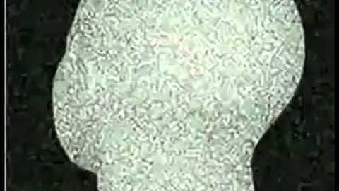 Secret video of Russian Hacker - Alert: Brainwashing Video