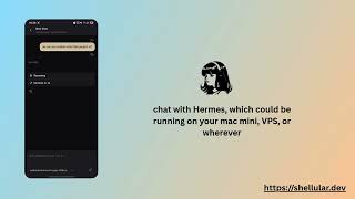 Monitor, Customize & Chat with your Hermes Agent from just one app - Shellular x Hermes demo