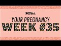 Your pregnancy: 35 weeks