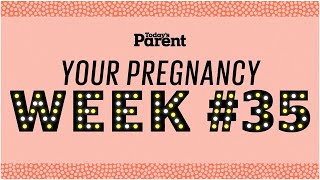 Your pregnancy: 35 weeks