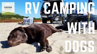 Ep. 86: RV Camping with Dogs | RV travel tips tricks howto