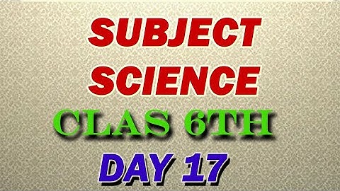 class 6/science/day 17/activity sheet 17/English medium/semi English/bridge course/2022-23/answer