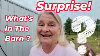 What's in the Barn || A Nice Surprise
