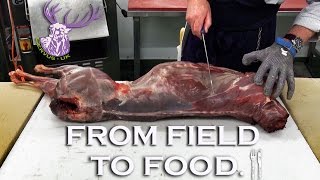 From Field To Food: Roe Deer Butchery