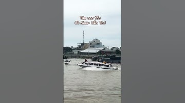 Tàu cao tốc Cà Mau- Cần Thơ #tungduong #nhachay #cover #taisinh #shortvideo #mientay