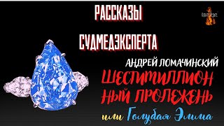 Рассказы Судмедэксперта: ШЕСТИМИЛЛИОННЫЙ ПРОЛЕЖЕНЬ или Голубая Эмма (автор: Андрей Ломачинский).