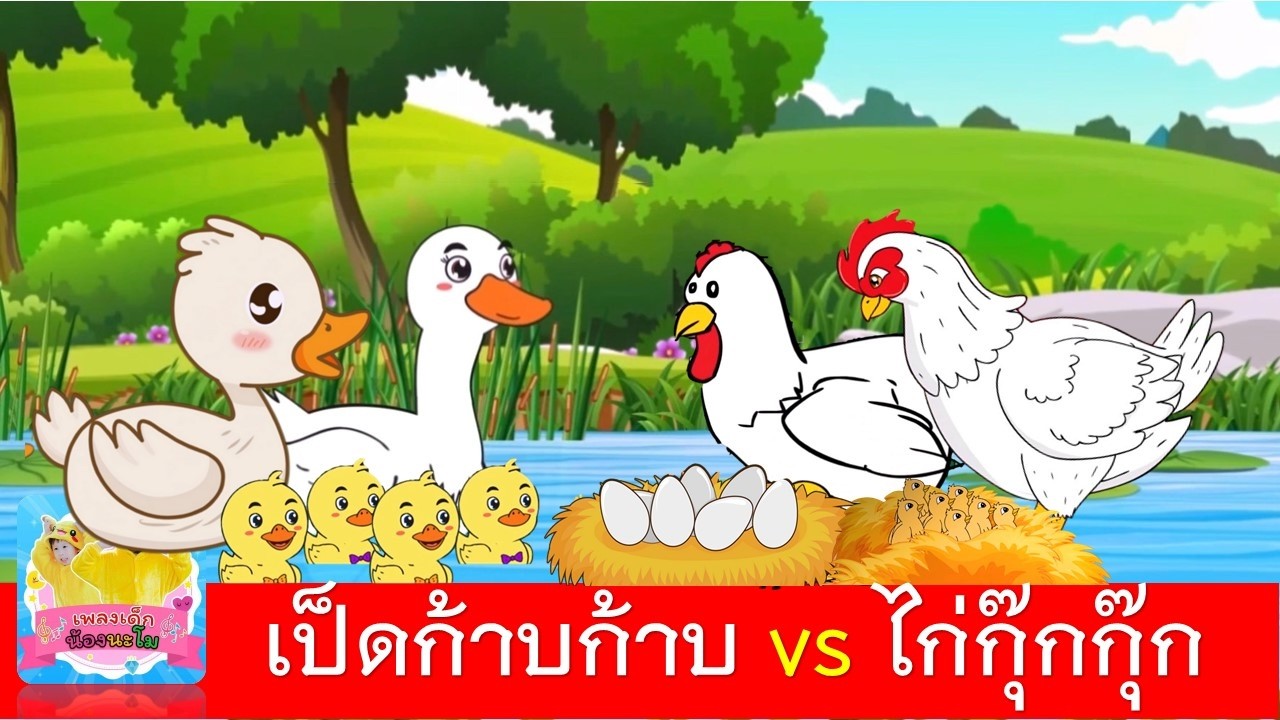 เป็ดก้าบก้าบ vs ไก่กุ๊กกุ๊ก | เป็ดอาบน้ำในคลอง | ไก่กุ๊กกุ๊กไก่
