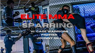 ELITE MMA SPARRING FT. CAGE WARRIORS ATHLETE JOHNNY GILL | #bjj  #boxing #muaythai #mma #sparring